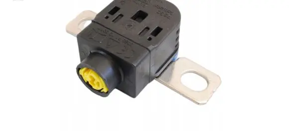 Renault Clio V Fuse N000000008657