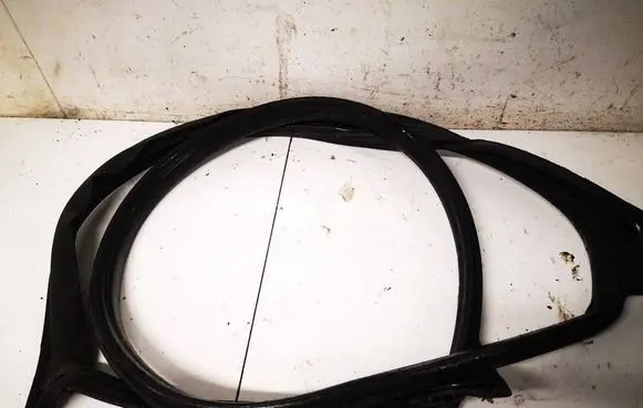 Tesla Model 3 Rubber seal front coupe door 
