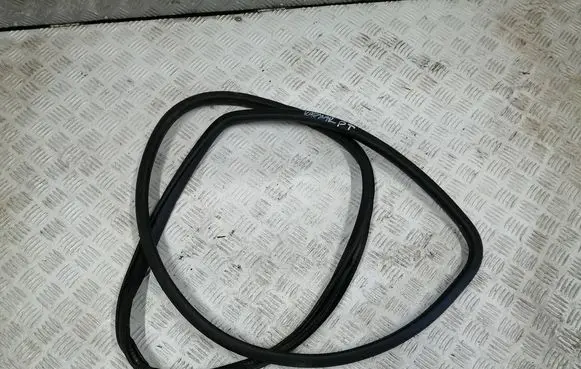 Renault Kadjar Rubber seal rear door 