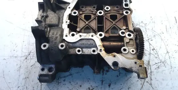 Skoda Fabia Mk2 (5J) Engine block 03D103166H