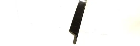 BMW 3 E46 Front door glass trim molding 251002303