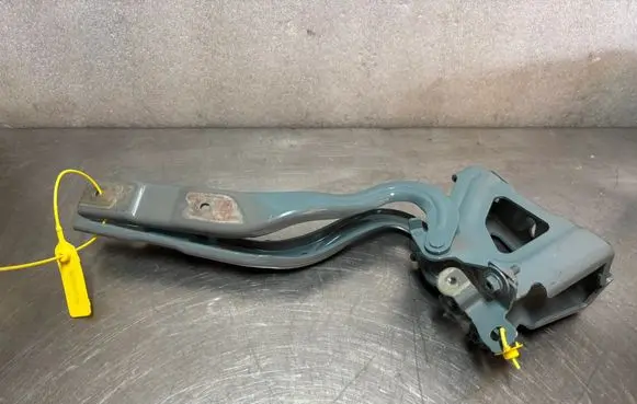 Engine bonnet/hood hinges