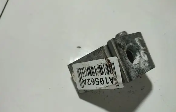 Skoda Octavia Mk2 (1Z) Rear door lower hinge 1Z0833412B