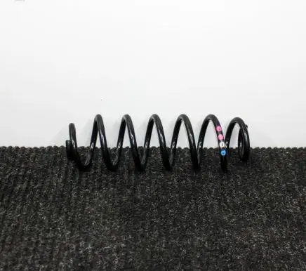Audi Q5 SQ5 Rear coil spring