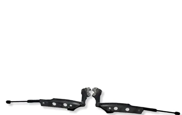 Audi A7 S7 4G Engine bonnet/hood hinges 4G8823301E 4G8823302E