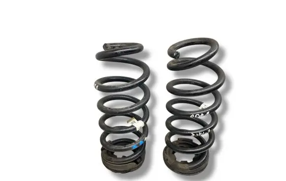 Rear coil spring