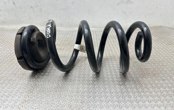 Rear coil spring