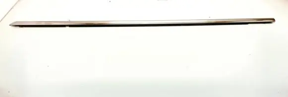Ford Focus Front door glass trim molding 