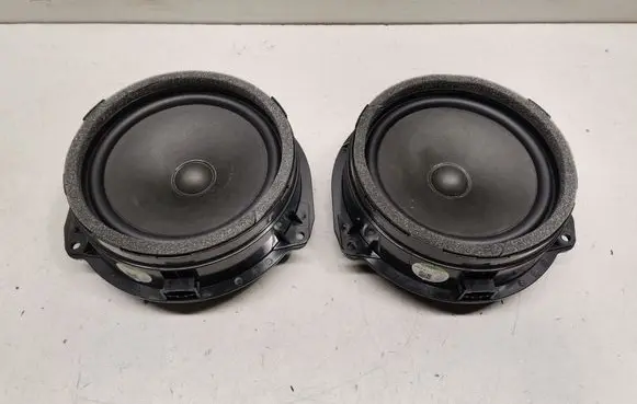 Rear door speaker