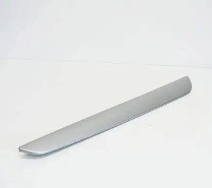 Rear door trim (molding)