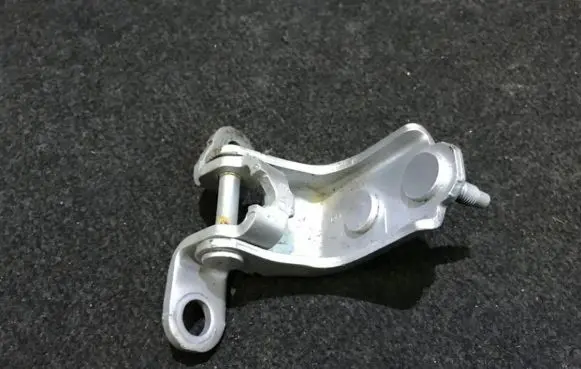 Rear door lower hinge