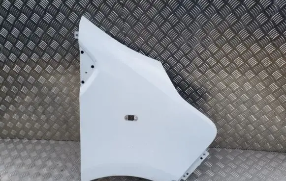 Renault Trafic III (X82) Fender