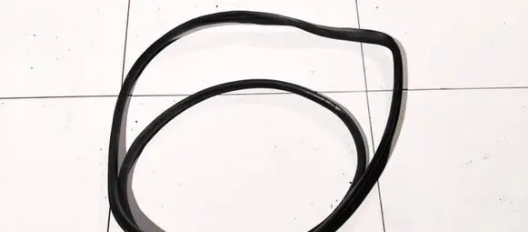 Nissan Note (E11) Rubber seal front coupe door 