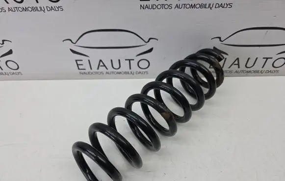 Rear coil spring