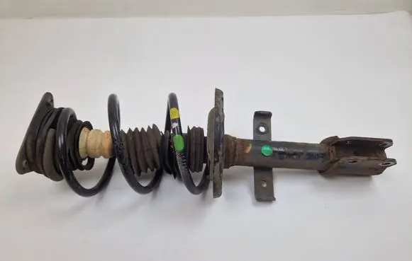 Renault Zoe Front shock absorber/damper 