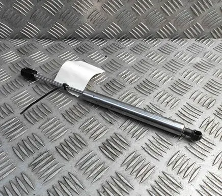Tailgate/trunk strut/damper