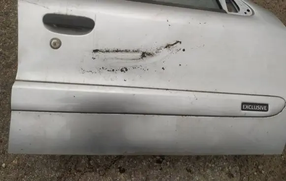 Citroen Xsara Front door trim (molding) 