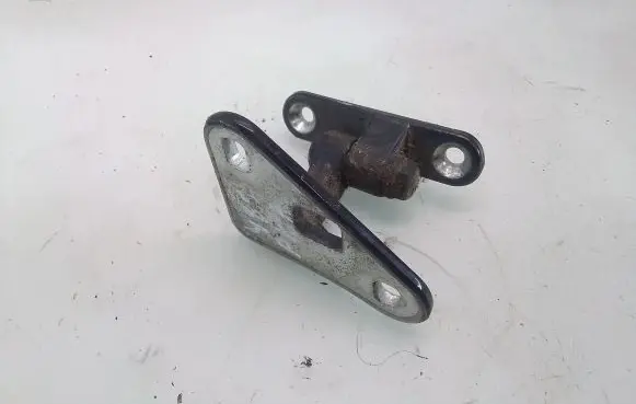 Front door lower hinge