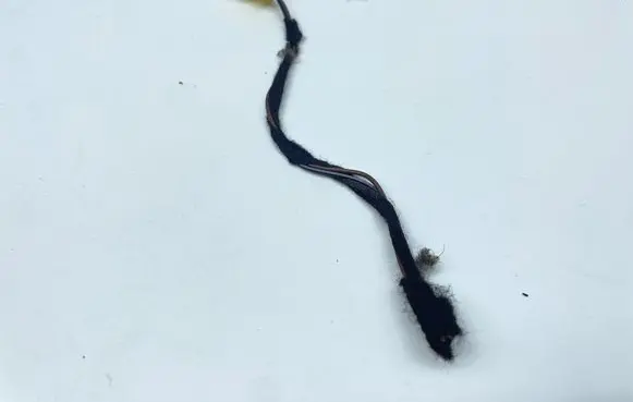 Mercedes-Benz C W204 Other wiring loom 19290802A