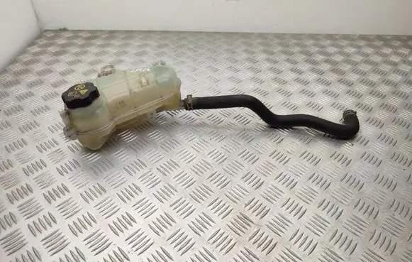 Chevrolet Aveo Coolant expansion tank/reservoir 95048411