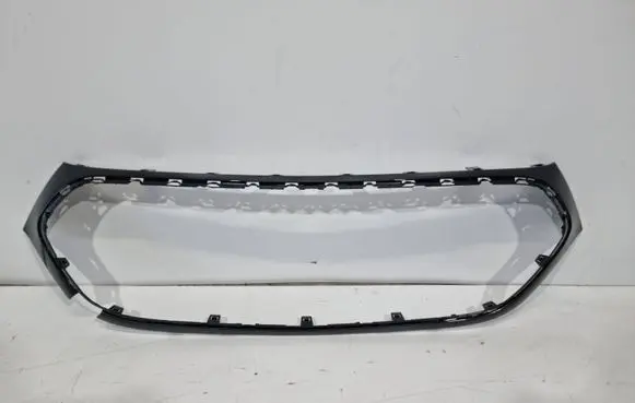 Mercedes-Benz E W214 Front grill A2148881000