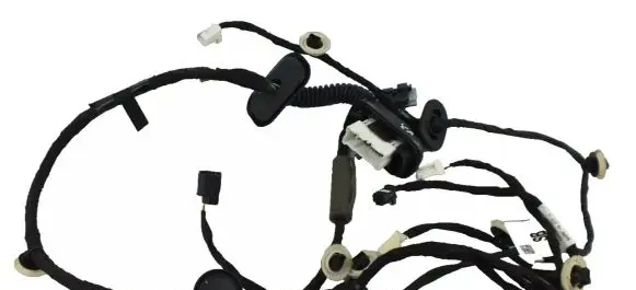 Other wiring loom