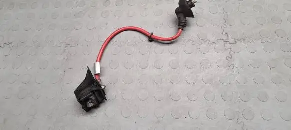 BMW 3 E46 Positive wiring loom 6910543