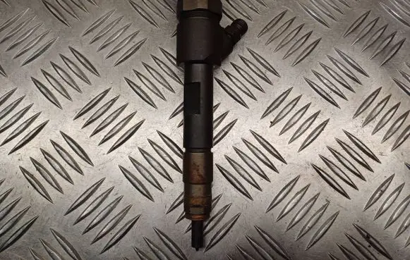 Suzuki Grand Vitara II Fuel injector 0445110230 8200389369