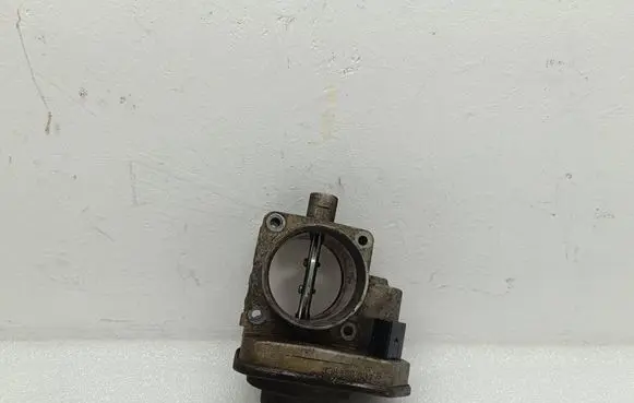 Volkswagen Golf V Throttle valve 038128063C