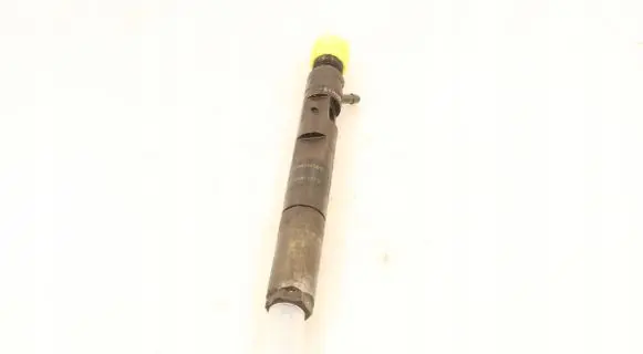 Renault Megane II Fuel injector EJBR01801Z