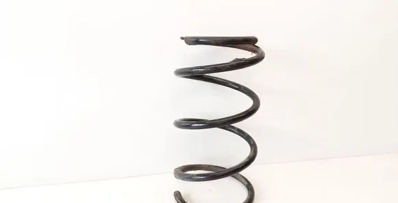 Front coil spring