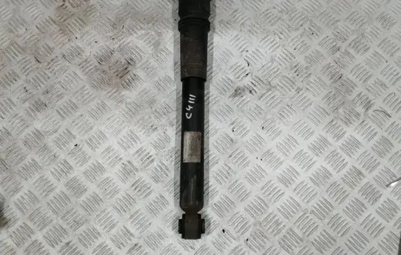 Citroen C4 III e-C4 Rear shock absorber/damper 9841379480
