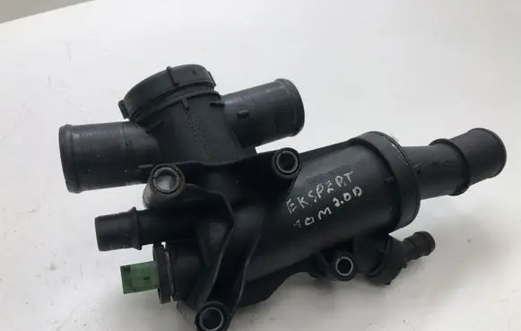 Thermostat/thermostat housing
