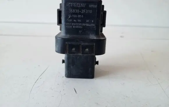 Hyundai Santa Fe Other relay 368302F310