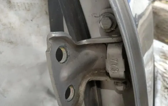 Volvo S40, V40 Rear door lower hinge