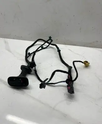 Audi A4 S4 B7 8E 8H Rear door wiring loom 