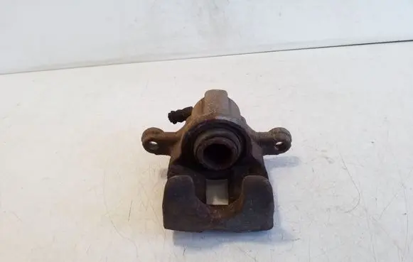 Nissan Leaf I (ZE0) Rear brake caliper
