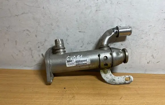 Nissan Almera Tino EGR valve cooler 875816W C4061