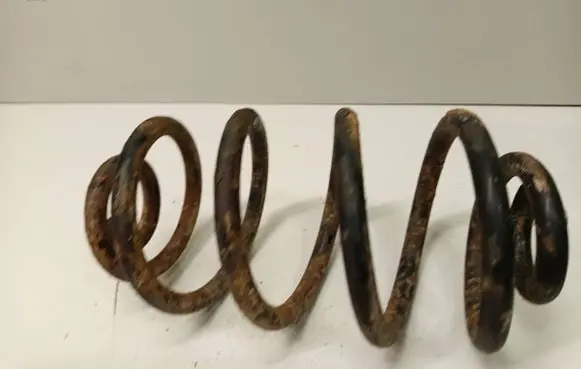 Volkswagen PASSAT B5 Rear coil spring