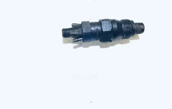Peugeot 406 Fuel injector kca17s42