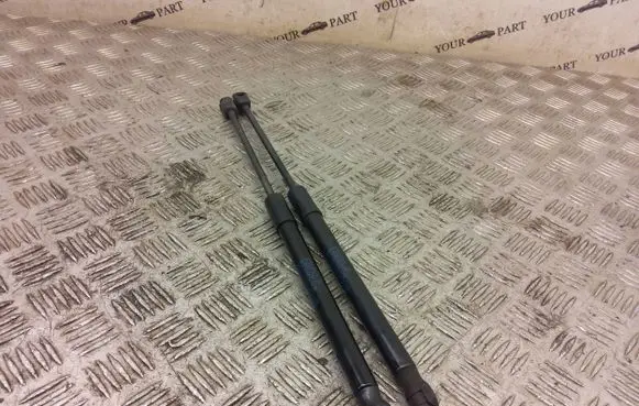 BMW X2 F39 Front bonnet/hood damper/strut 7424766