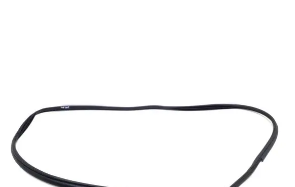 Rear door rubber seal (on body)