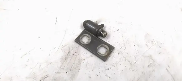 BMW 3 E46 Rear door upper hinge 