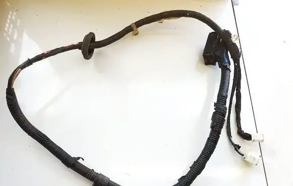 Toyota Avensis T220 Other wiring loom 8216405020G 8282120490