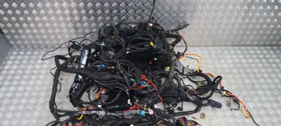 Porsche Cayenne (92A) Positive wiring loom 