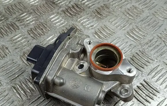 Nissan Note (E12) EGR valve H8201143495 14T10464