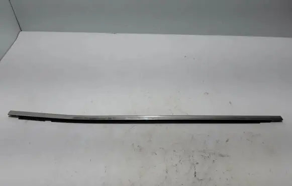 Rear door trim (molding)