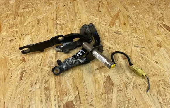 Peugeot RCZ Engine bonnet/hood hinges YM17340380