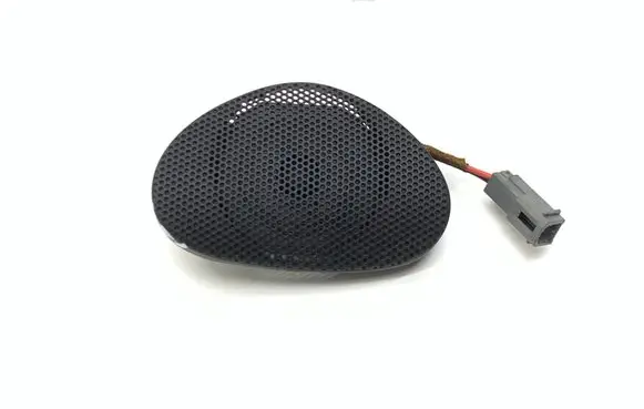Front door speaker