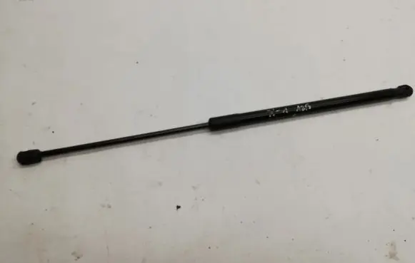 Tailgate/trunk strut/damper